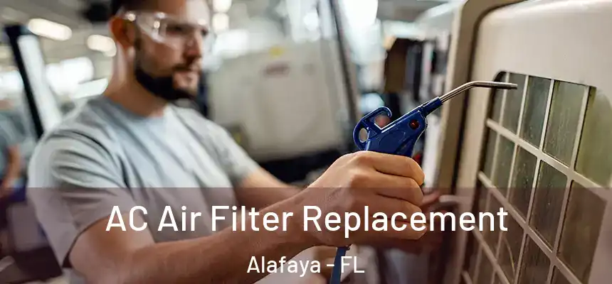 AC Air Filter Replacement Alafaya - FL