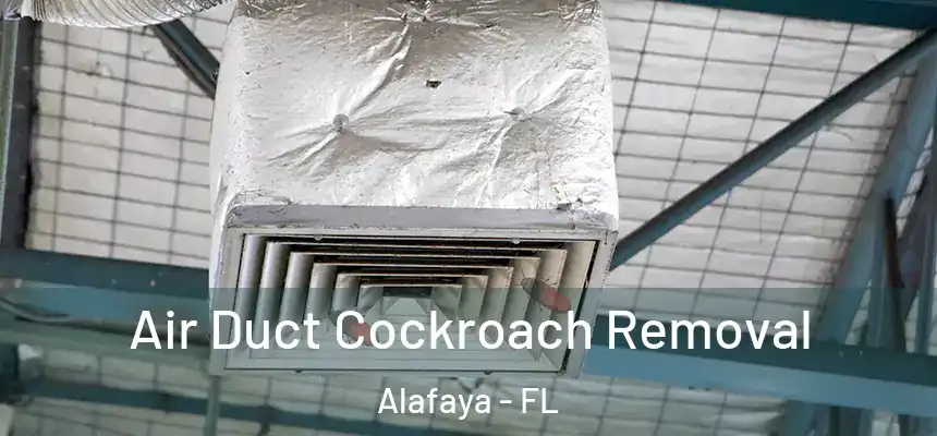  Air Duct Cockroach Removal Alafaya - FL