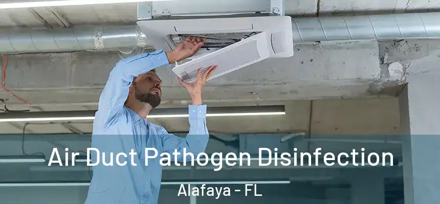  Air Duct Pathogen Disinfection Alafaya - FL