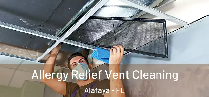 Allergy Relief Vent Cleaning Alafaya - FL