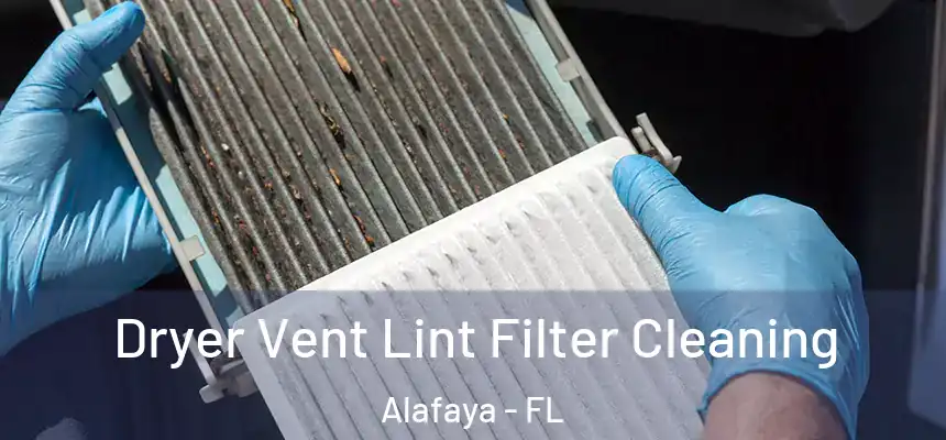 Dryer Vent Lint Filter Cleaning Alafaya - FL