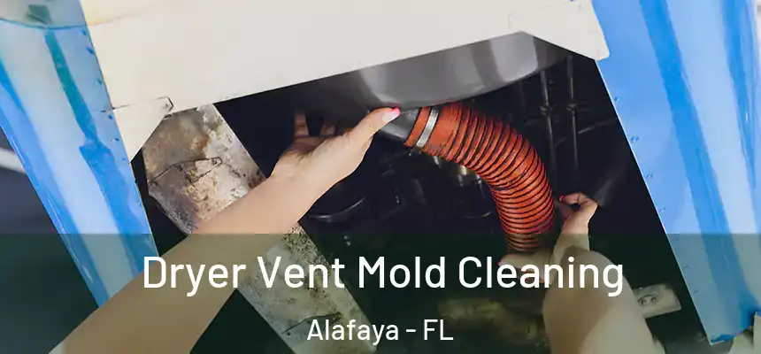 Dryer Vent Mold Cleaning Alafaya - FL