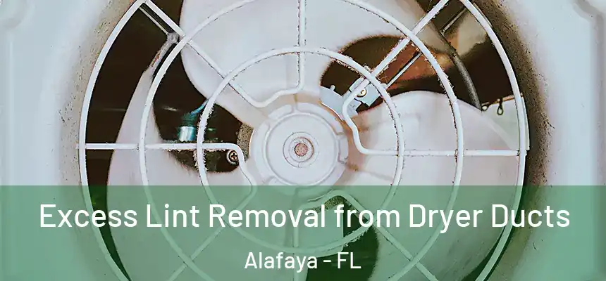 Excess Lint Removal from Dryer Ducts Alafaya - FL