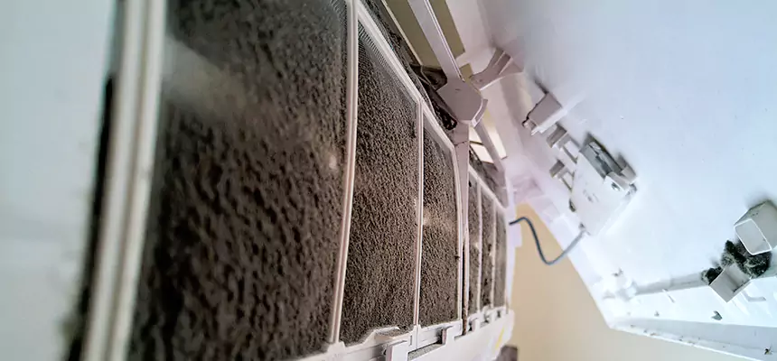 Preventive Air Duct Bacteria Removal in Alafaya