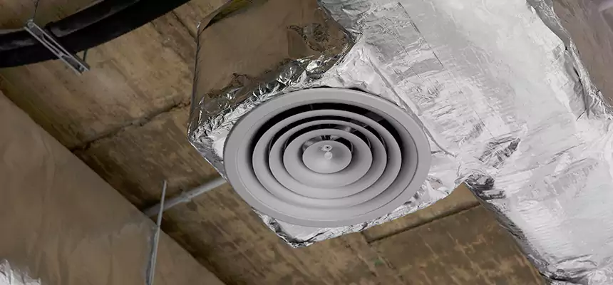 Our Excess Lint Removal from Dryer Ducts Services in Alafaya, FL