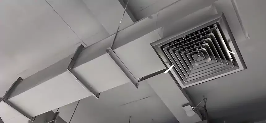 Our Pest Removal From Ducts Services in Alafaya, FL