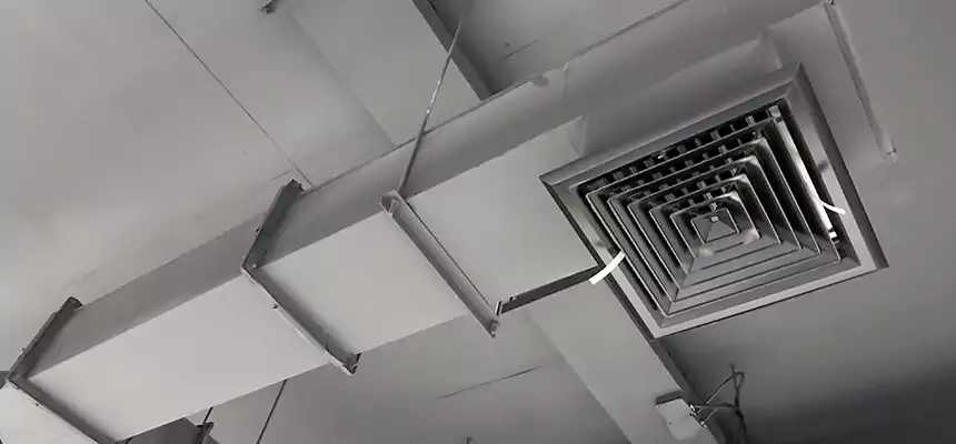 Our Rodent Droppings In Vents Services in Alafaya, FL