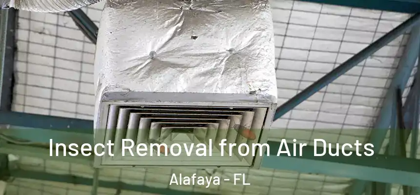 Insect Removal from Air Ducts Alafaya - FL