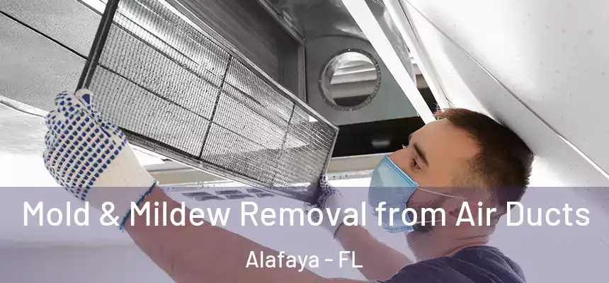 Mold & Mildew Removal from Air Ducts Alafaya - FL