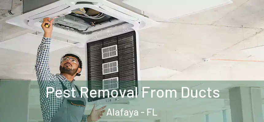  Pest Removal From Ducts Alafaya - FL