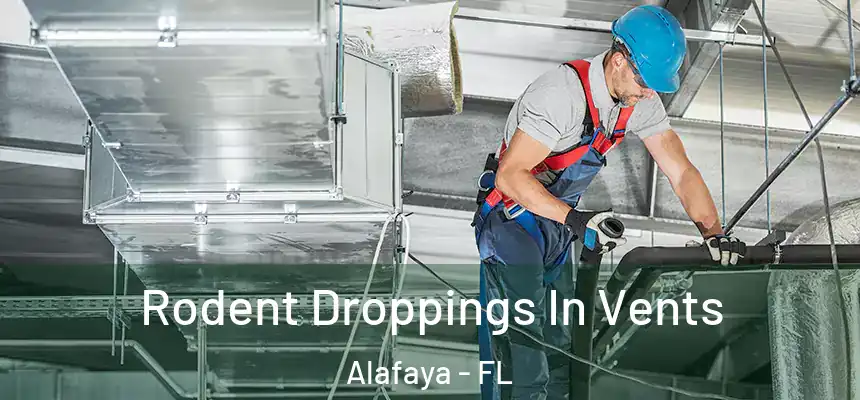 Rodent Droppings In Vents Alafaya - FL