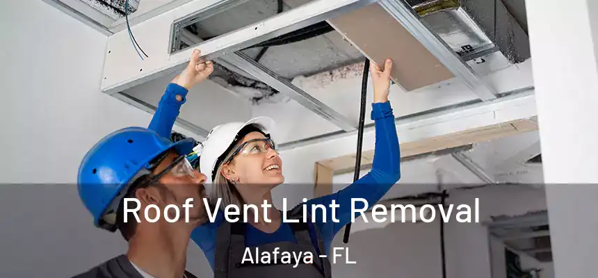 Roof Vent Lint Removal Alafaya - FL