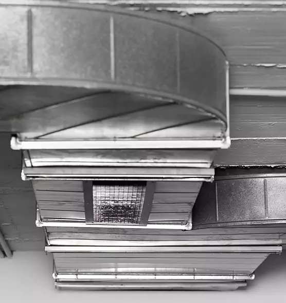 Professional Air Duct Pet Hair Removal in Alafaya, FL