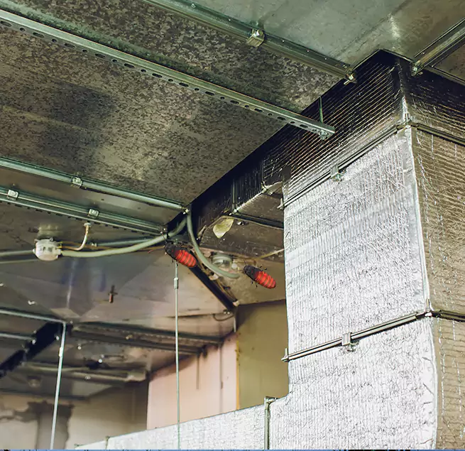 Why Homeowners & Businesses Trust Us in Alafaya, FL?