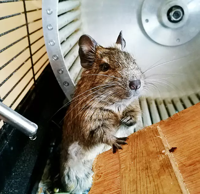 Why Homeowners & Businesses Trust Us Alafaya, FL