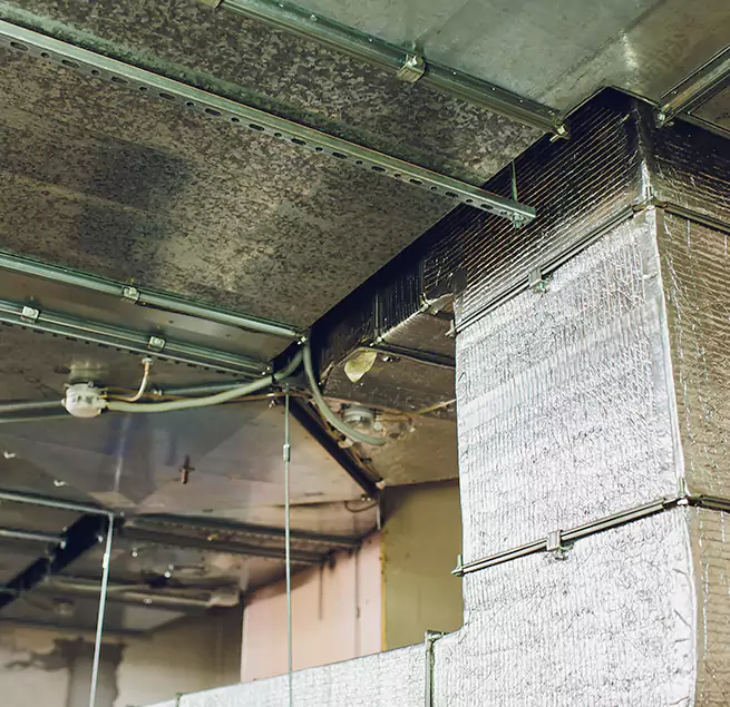 Why Homeowners & Businesses Trust Us in Alafaya, FL?