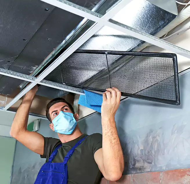 Why Homeowners Businesses Trust Us in Alafaya, FL